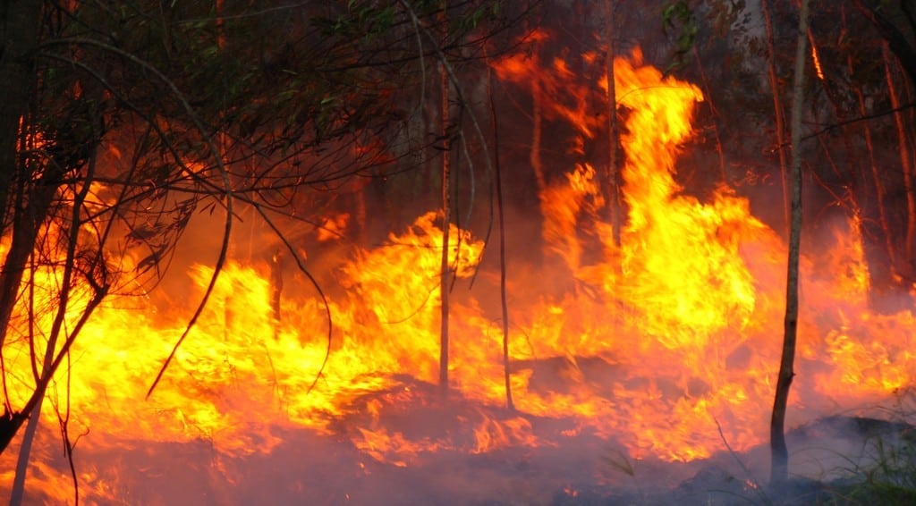 bushfire attack level assessment report