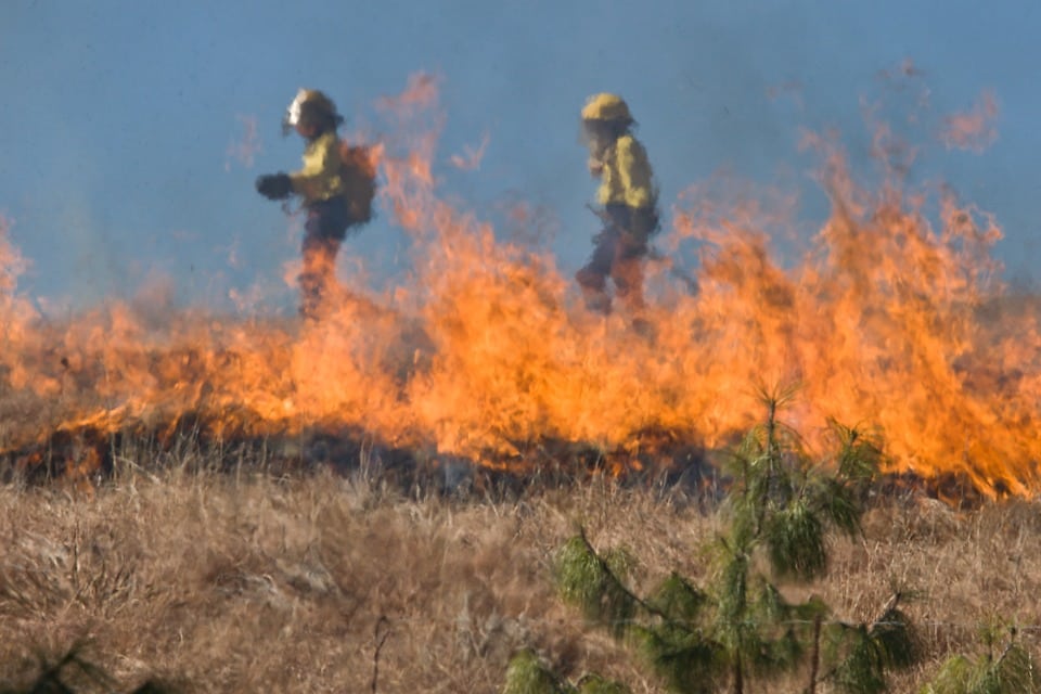 bushfire attack level assessment report